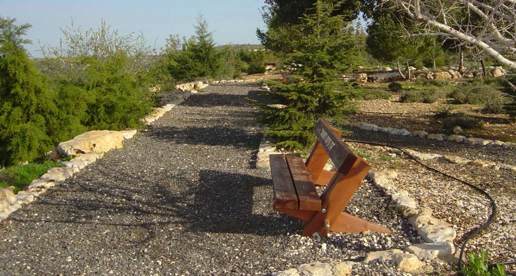 Bench for a landscape in Adamit Park. Photo by Michael Khoury