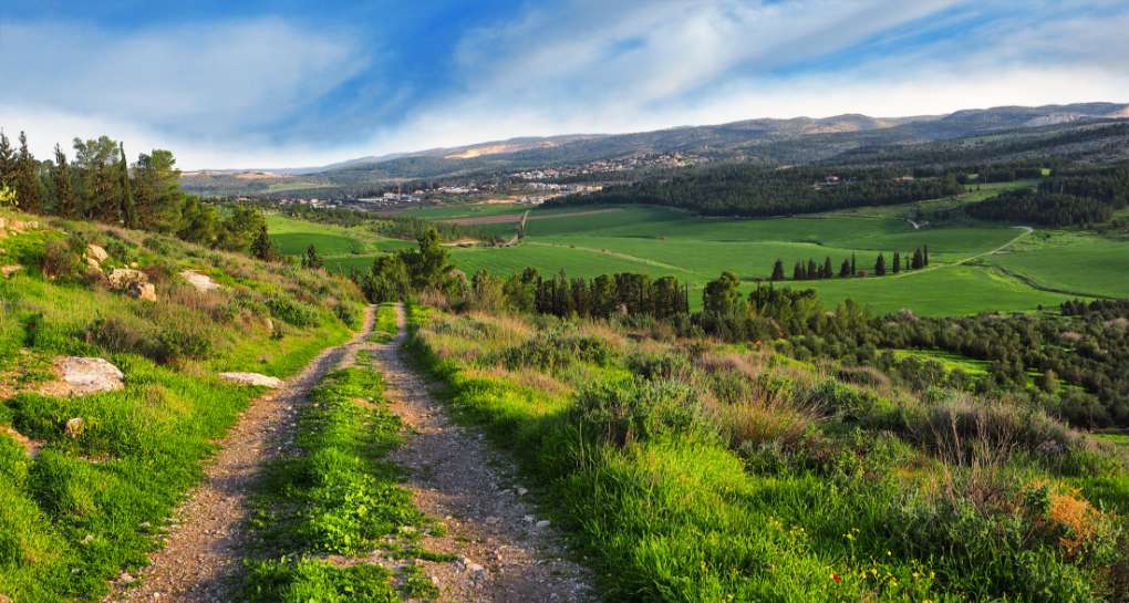 Le parc Adullam-France. Photographie : Shutterstock