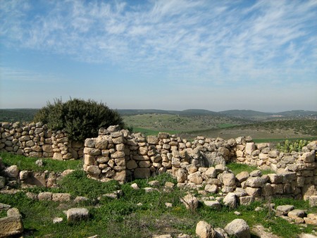 Photographie : Tania Susskind