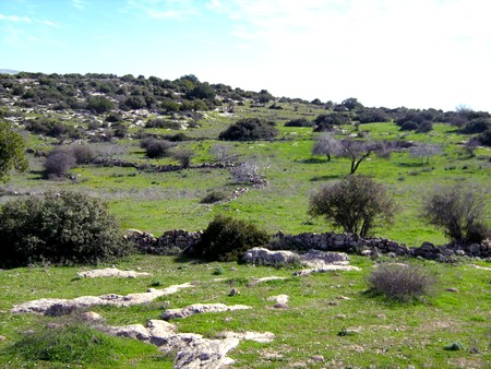 Photographie : Tania Susskind