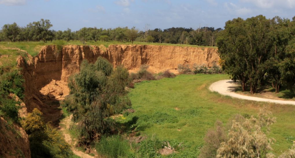 Photographie: Yaakov Shkolnik