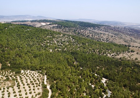 Photographie : Archives photographiques KKL-FNJ