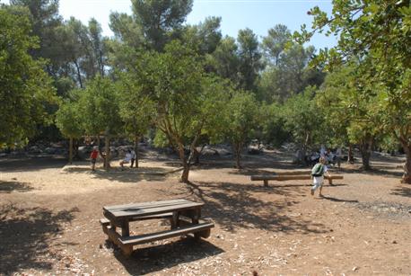 Photographie : Avi Hayun.