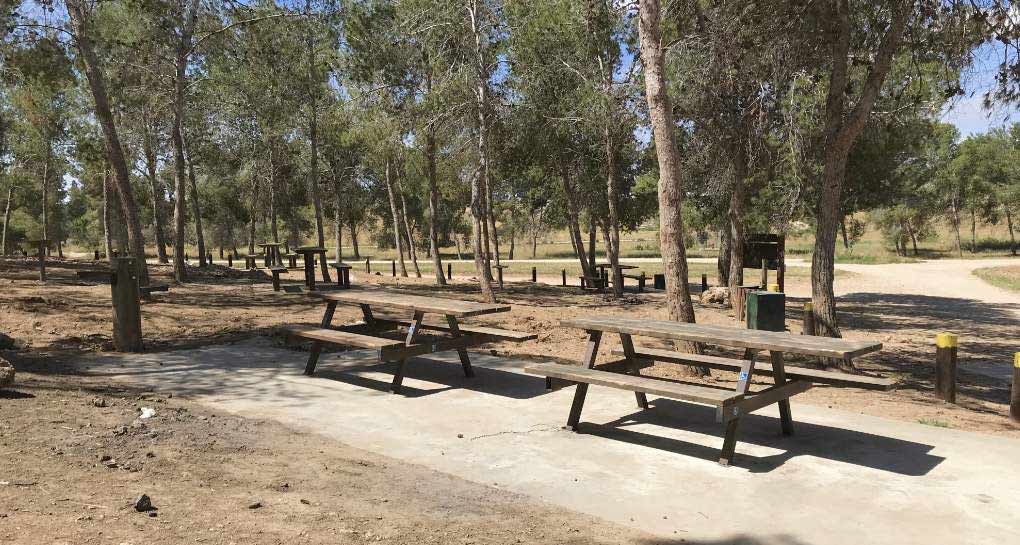 Southern Negev area, northern Dvira Forest, nature park. Photo: Kamel Aliyan