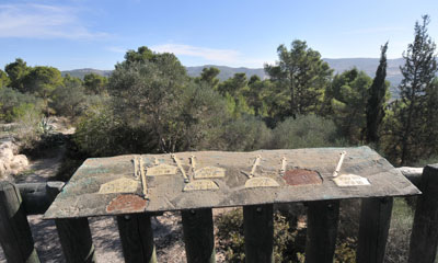 Photographie : Avi Hayun.