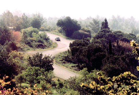 Photographie : Archives du KKL-FNJ