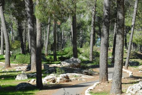 Photographie : Archives photographiques KKL-FNJ