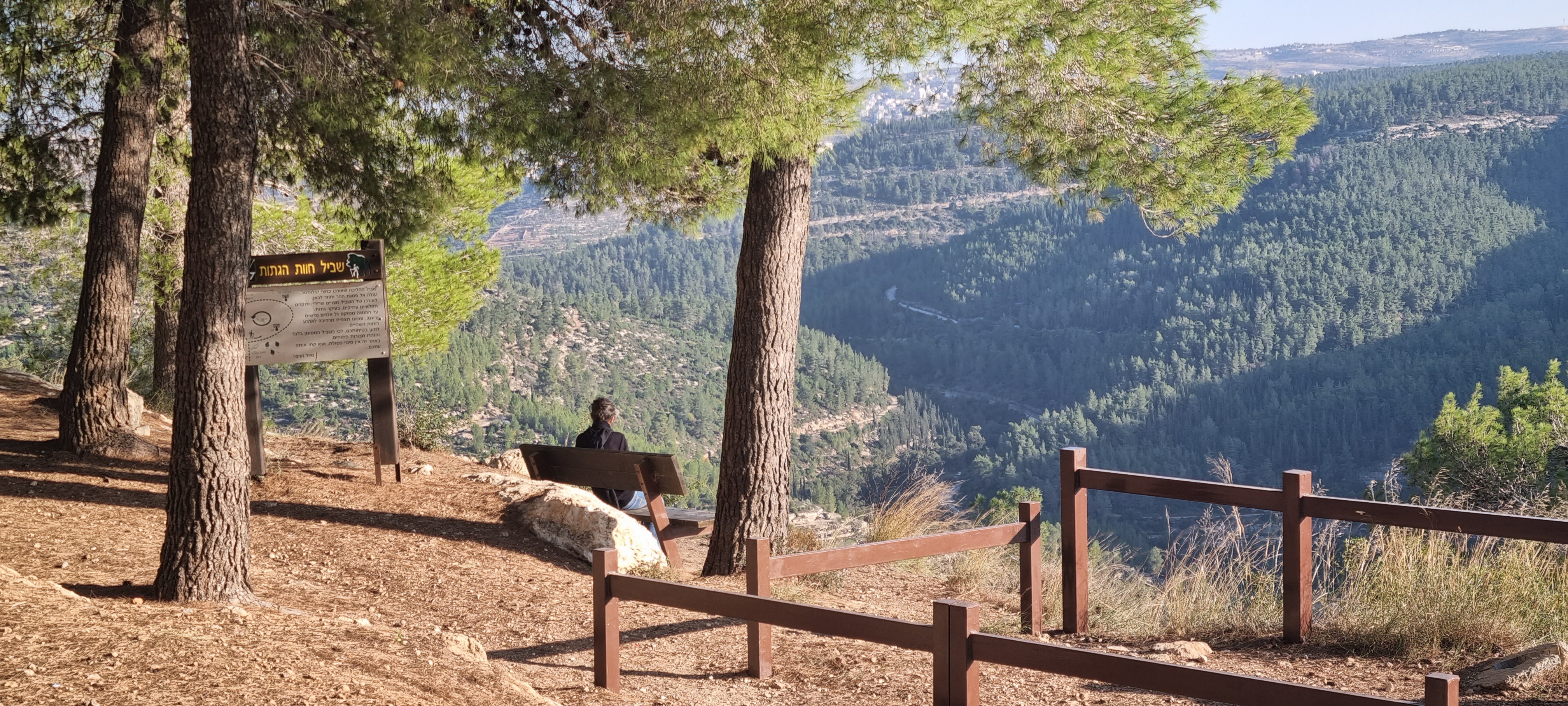 Photographie : Adi Tana