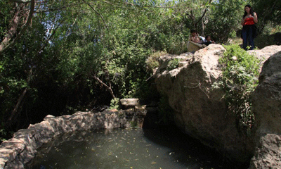 Photographie : Yaakov Shkolnik.