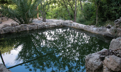 Photographie : Yaakov Shkolnik.