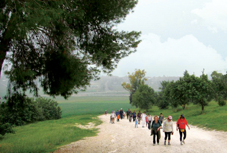 Visiteurs de la forêt. Photographie : Yaakov Shkolnik, archives photographiques KKL-FNJ
