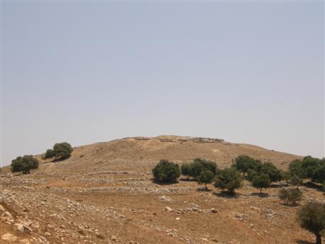 Photographie: Yaakov Shkolnik