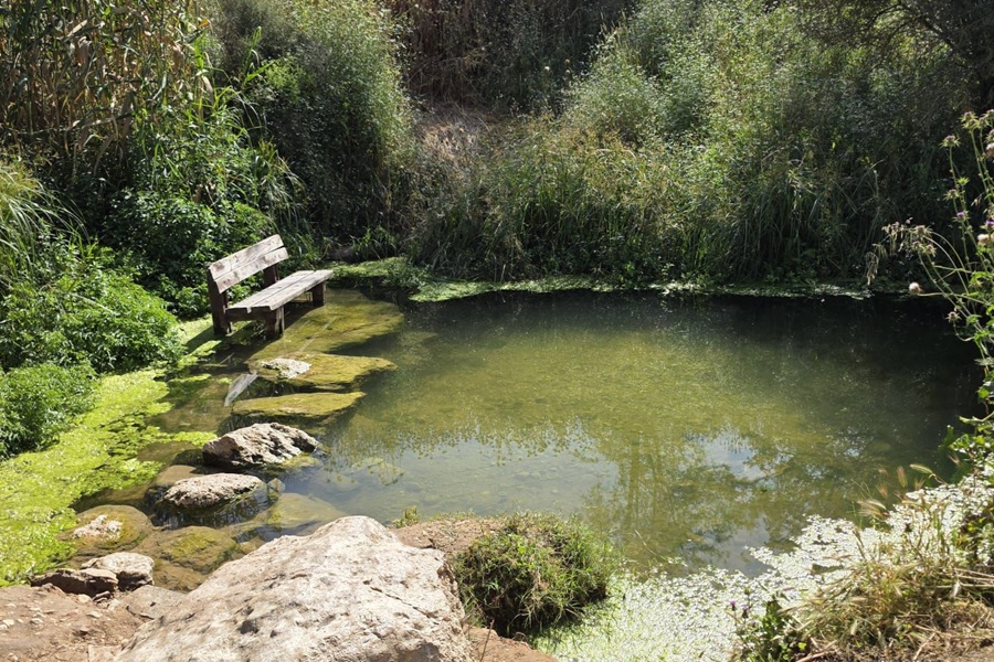 בריכת צאנן. צילום: חזי קול, קקל