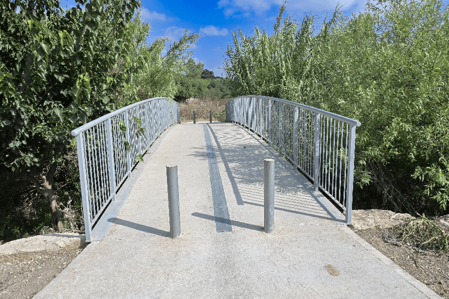 צילום: מיכאל חורי, ארכיון הצילומים של קק''ל
