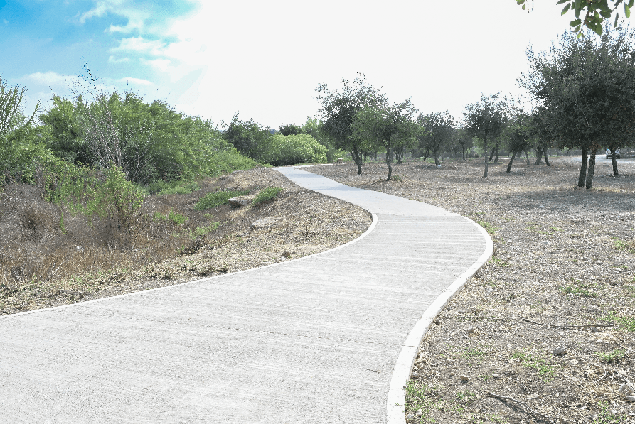 צילום: מיכאל חורי, ארכיון הצילומים של קק''ל