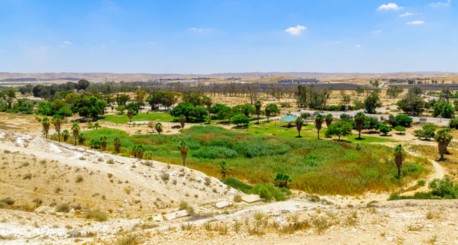 צילום: ארכיון הצילומים של קקל