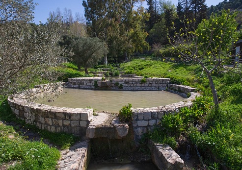 בבין הזמנים יוצאים לחיק הטבע ביערות קק"ל