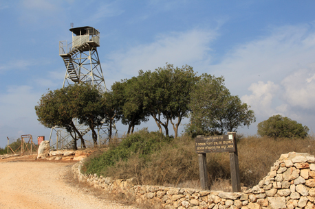 גבעת שעל. צילום: יעקב שקולניק, ארכיון הצילומים של קק"ל