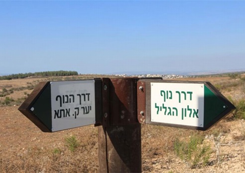 שילוט הכוונה בדרך. צילום: יעקב שקולניק, ארכיון הצילומים של קק"ל