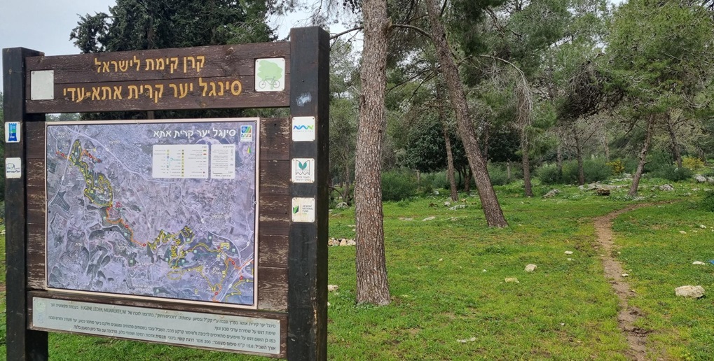 יער קרית אתא. צילום: פנינה לבנון, קק"ל