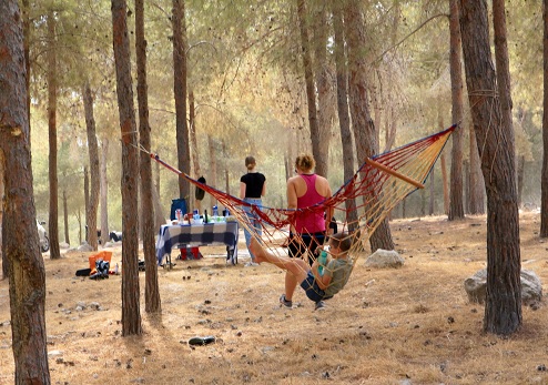 מבלים ביער המגינים