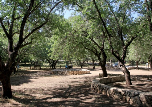 חניון אלת הטל. צילום: יעקב שקולניק, ארכיון הצילומים של קק"ל