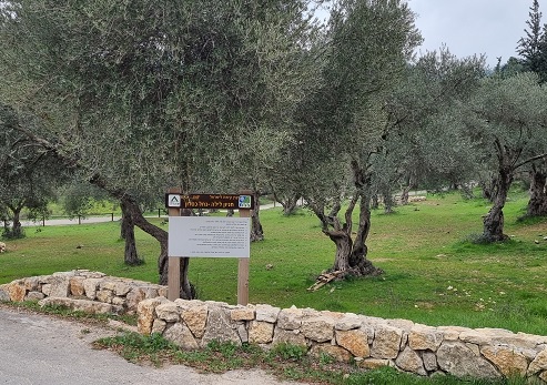 חניון לילה נחל כסלון. צילום: עדי טנא, קקל