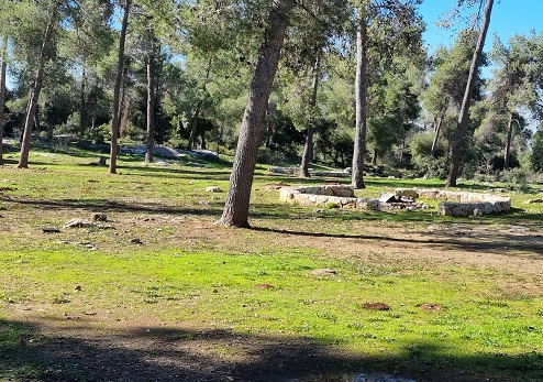 חניון לילה שורש. צילום: עדי טנא