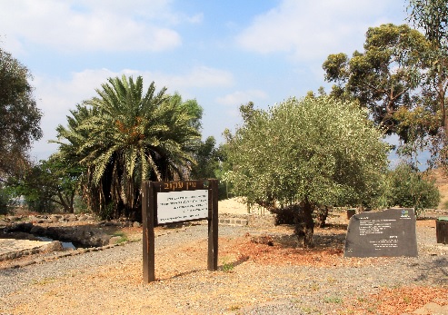 חניון עין עקוב. צילום: יעקב שקולניק, ארכיון הצילומים של קקל