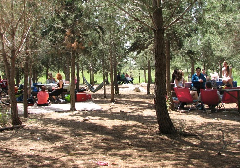 חניון ברסלר. צילום: רוני קינדרמן