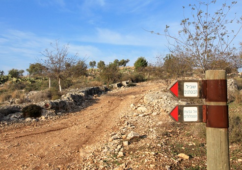 שלט הכוונה לשביל הבוסתנים. צילום: יעקב שקולניק, ארכיון הצילומים של קק"ל