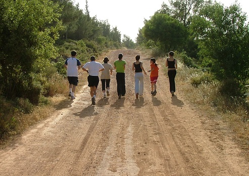 צילום: גידי בשן, קק"ל