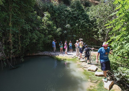 מנופי הפארק