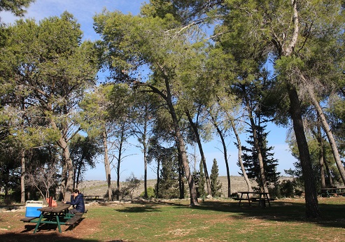 חניון בני קפלן. צילום: יעקב שקולניק, ארכיון הצילומים של קקל