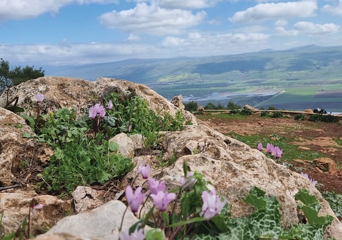 תצפית קרן נפתלי