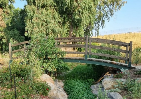 פארק עורבים. צילום: פנינה צייזלר, קקל
