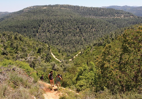 מטיילות ביער