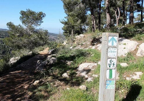 שביל נוף נחל יתלה