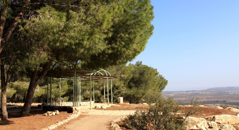 צילום: יעקב שקולניק, ארכיון צילומי קקל