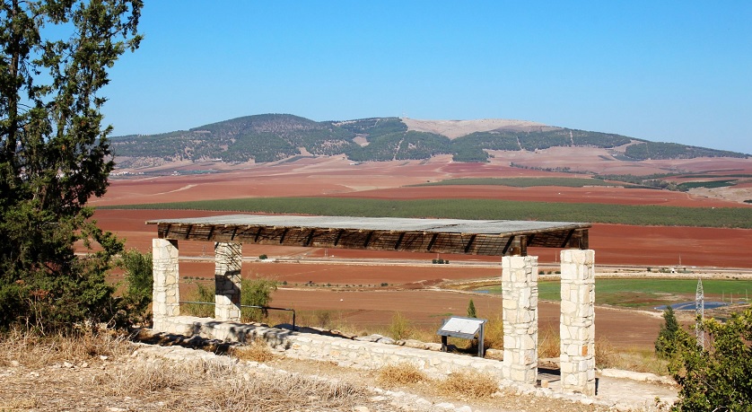 צילום: יעקב שקולניק, ארכיון צילומי קקל