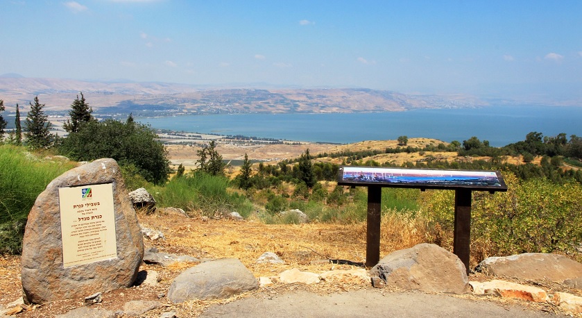 צילום: יעקב שקולניק, ארכיון הצילומים של קקל