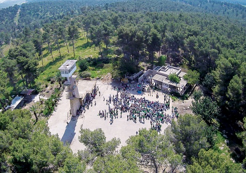 יער המלאכים - שחריה, מגדל התצפית ממעוף הציפור