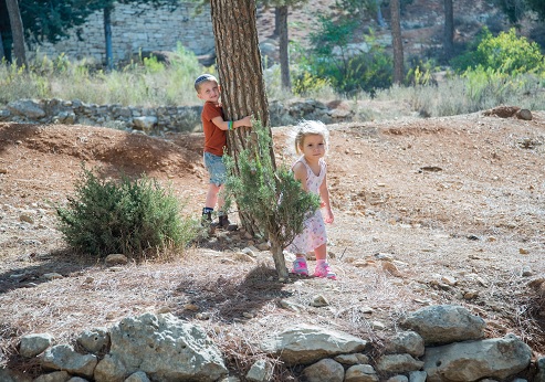 ילדים משחקים ביער המלאכים - שחריה