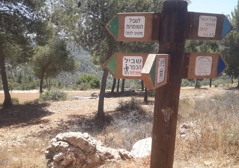 צילום: אבי וסרמן, ארכיון הצילומים של קק"ל