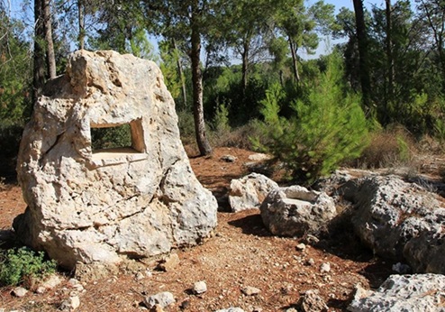 טיול לגן האבן בדרך החשמל שביער בן שמן