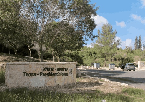 טיול לדרך הפסלים ביער צרעה