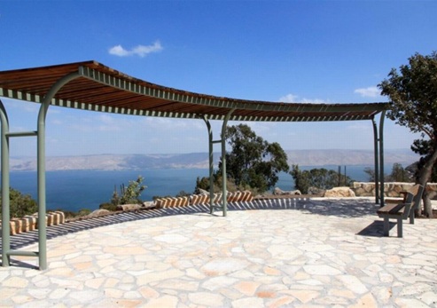 טיול לדרך נוף יער שוויץ