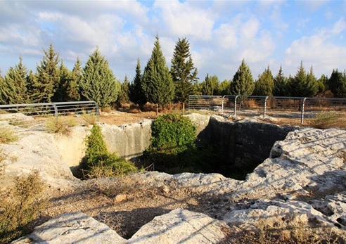 טיול ביער קהילתי שוהם