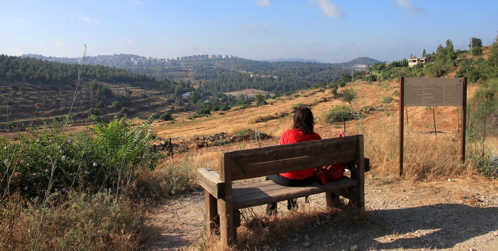 טיולים סביב קרית ענבים