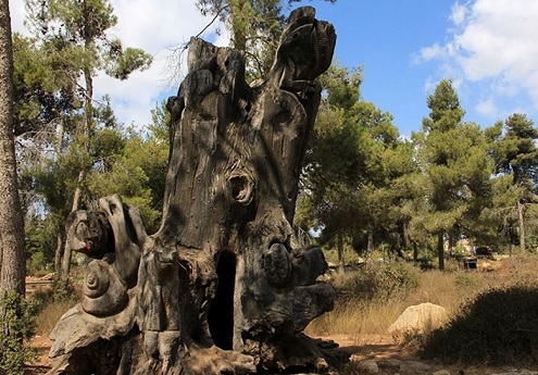 הר אדר עד קרית ענבים – מסלול תש"ח